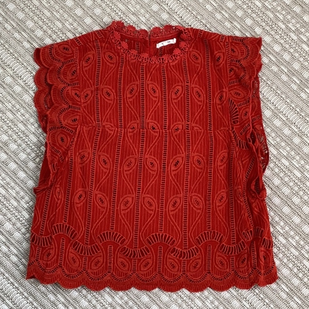 Embroidered Flutter Sleeve Cropped Top